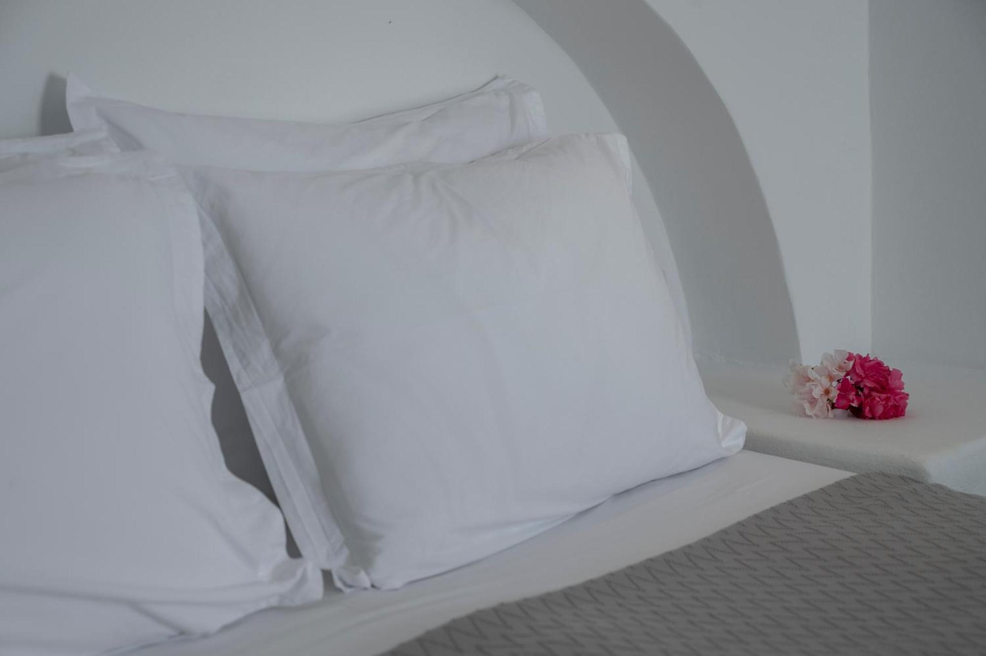 Tínos Aegean Dream Apartments מראה חיצוני תמונה